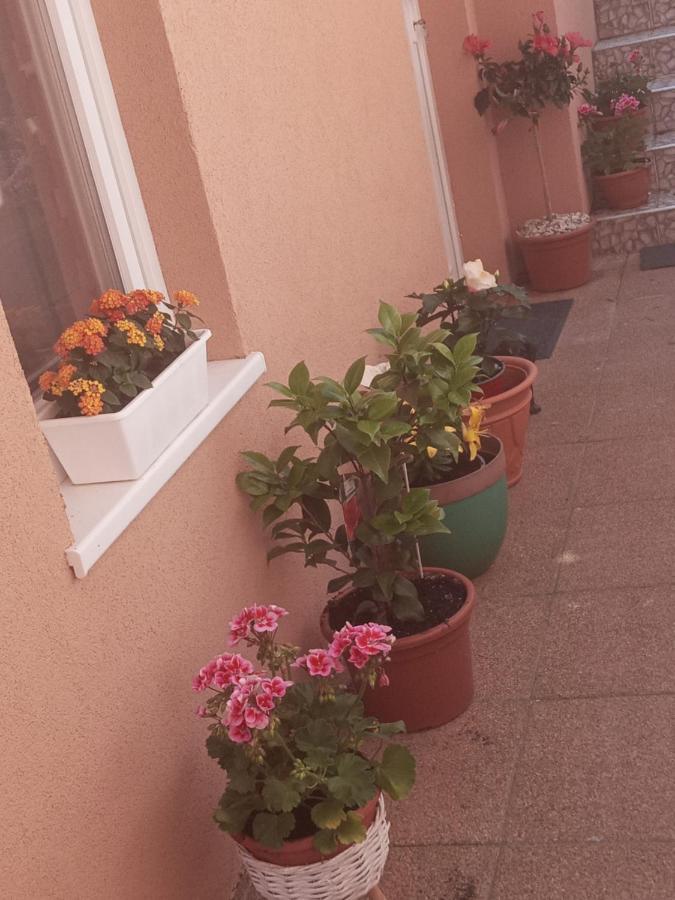 Erna Apartman Zalakaros Exterior photo